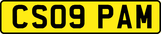 CS09PAM