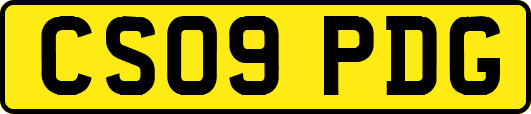 CS09PDG