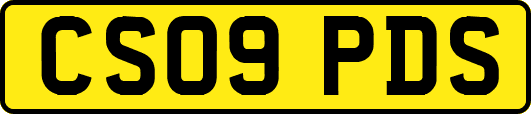 CS09PDS