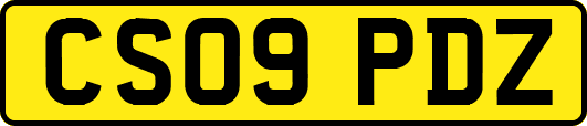 CS09PDZ