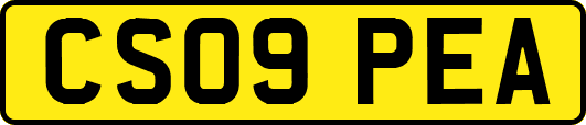 CS09PEA