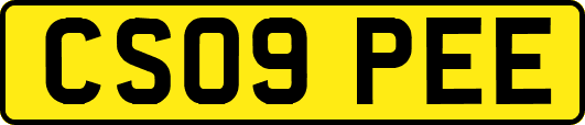 CS09PEE