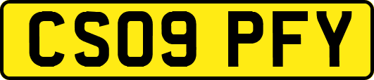 CS09PFY