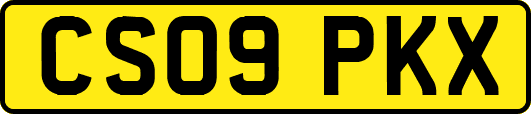 CS09PKX