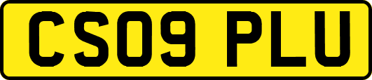 CS09PLU