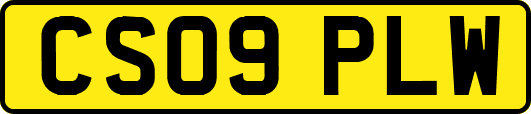 CS09PLW