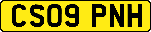 CS09PNH