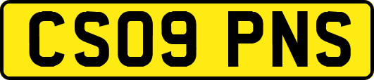 CS09PNS