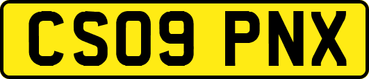 CS09PNX