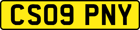 CS09PNY
