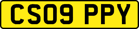 CS09PPY