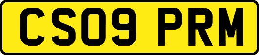 CS09PRM