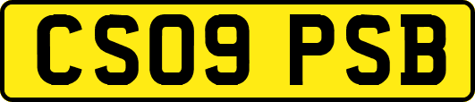 CS09PSB