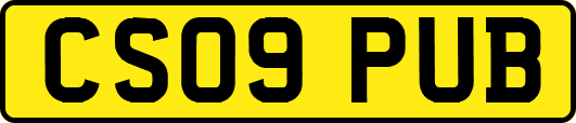CS09PUB