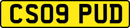 CS09PUD