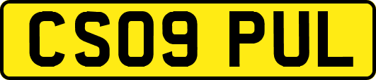 CS09PUL