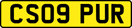 CS09PUR