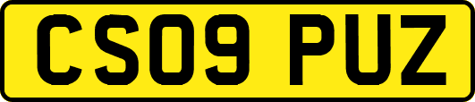 CS09PUZ