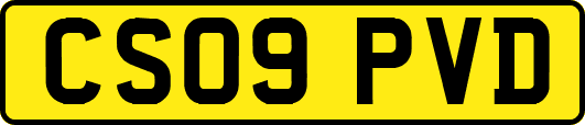 CS09PVD