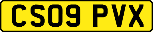 CS09PVX