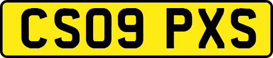 CS09PXS