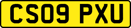 CS09PXU