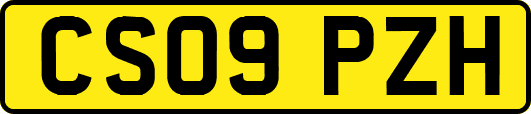 CS09PZH