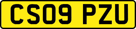 CS09PZU