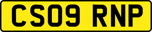 CS09RNP