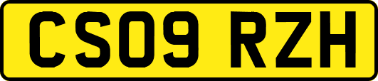 CS09RZH