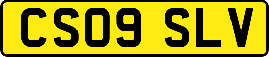 CS09SLV
