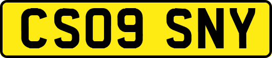 CS09SNY