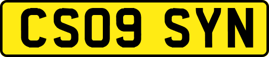 CS09SYN