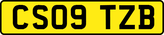 CS09TZB
