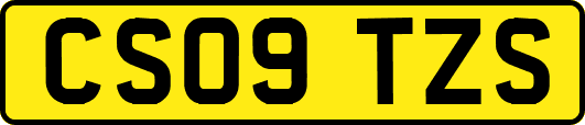 CS09TZS