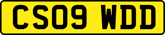 CS09WDD