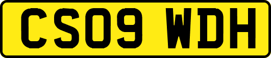 CS09WDH