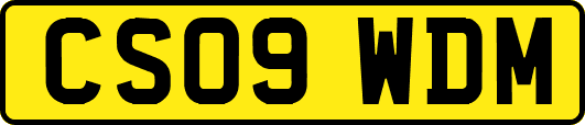 CS09WDM