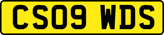 CS09WDS