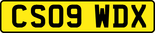 CS09WDX