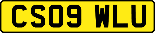 CS09WLU