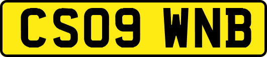 CS09WNB