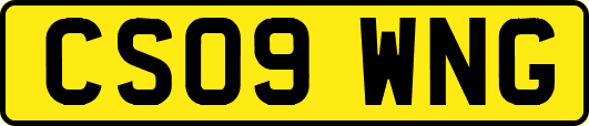 CS09WNG