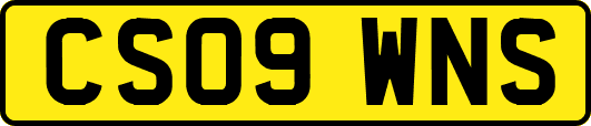 CS09WNS