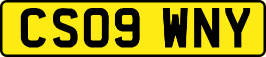 CS09WNY