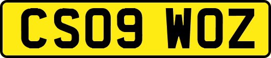 CS09WOZ