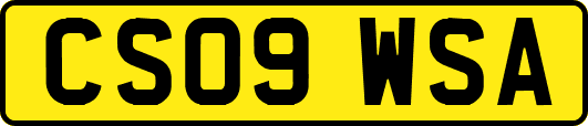 CS09WSA