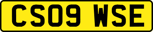 CS09WSE