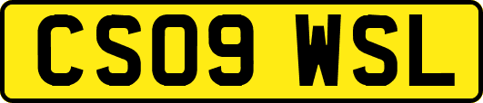 CS09WSL