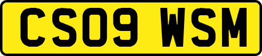 CS09WSM